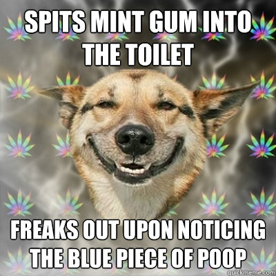 Spits mint gum into the toilet Freaks out upon noticing the blue piece of poop - Spits mint gum into the toilet Freaks out upon noticing the blue piece of poop  Stoner Dog