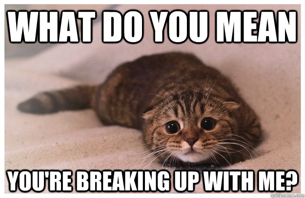 What do you mean You're breaking up with me? - What do you mean You're breaking up with me?  Misc