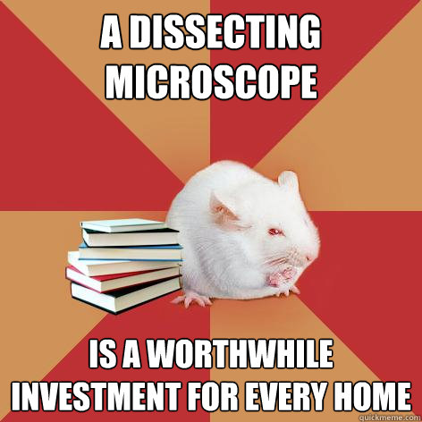 A dissecting microscope Is a worthwhile investment for every home  Science Major Mouse