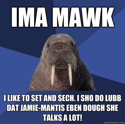 Ima Mawk I like to set and sech. I sho do lubb dat Jamie-Mantis eben dough she talks a lot!  Web Developer Walrus