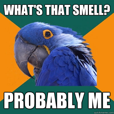 What's that smell? Probably me  Paranoid Parrot