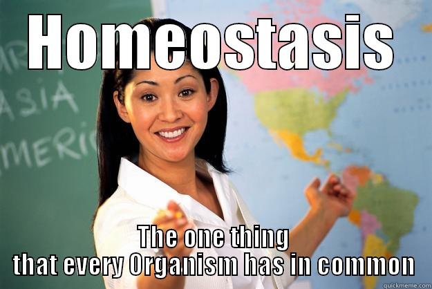 HOMEOSTASIS THE ONE THING THAT EVERY ORGANISM HAS IN COMMON Unhelpful High School Teacher