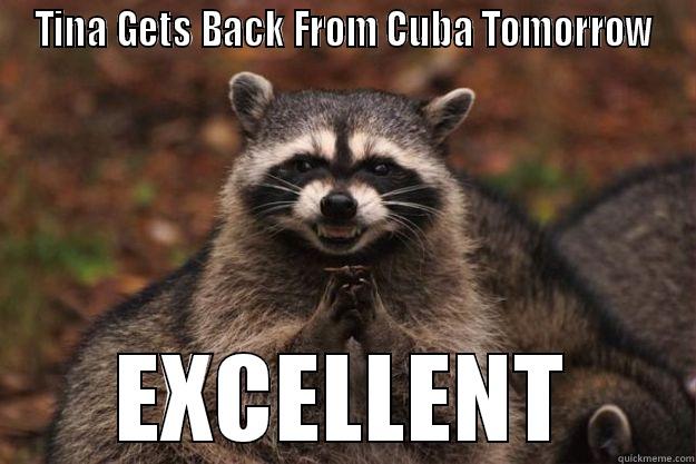 TINA GETS BACK FROM CUBA TOMORROW EXCELLENT Evil Plotting Raccoon