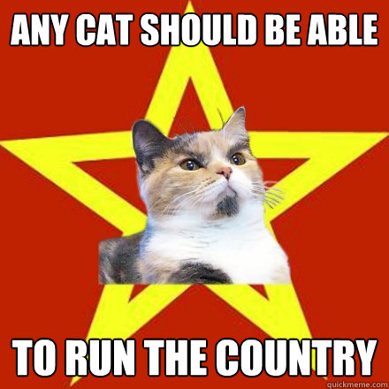 Any cat should be able  to run the country  Lenin Cat