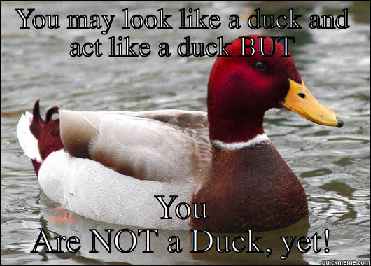 YOU MAY LOOK LIKE A DUCK AND ACT LIKE A DUCK BUT YOU ARE NOT A DUCK, YET! Malicious Advice Mallard