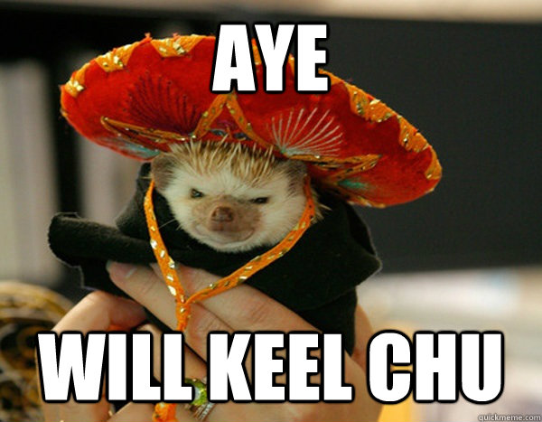 Aye will keel chu - Aye will keel chu  Espanol the Hedgehog