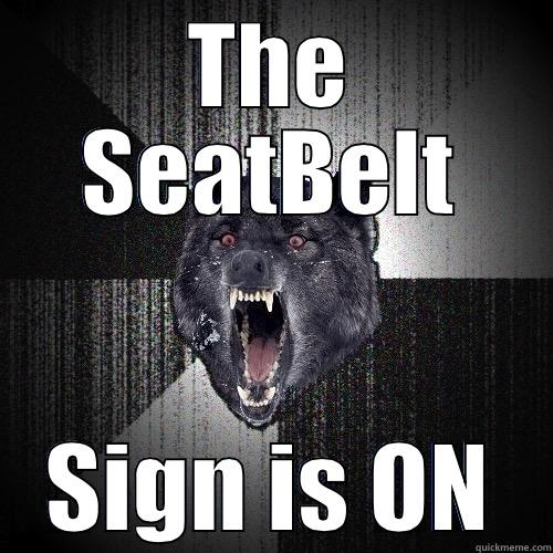 THE SEATBELT SIGN IS ON Insanity Wolf