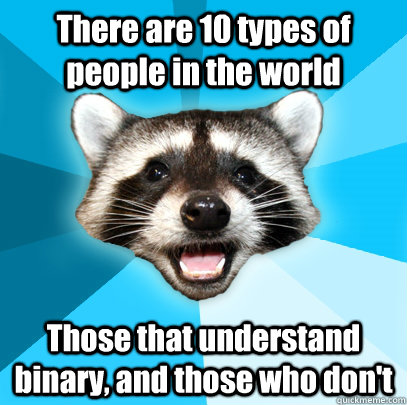 There are 10 types of people in the world Those that understand binary, and those who don't  Lame Pun Coon