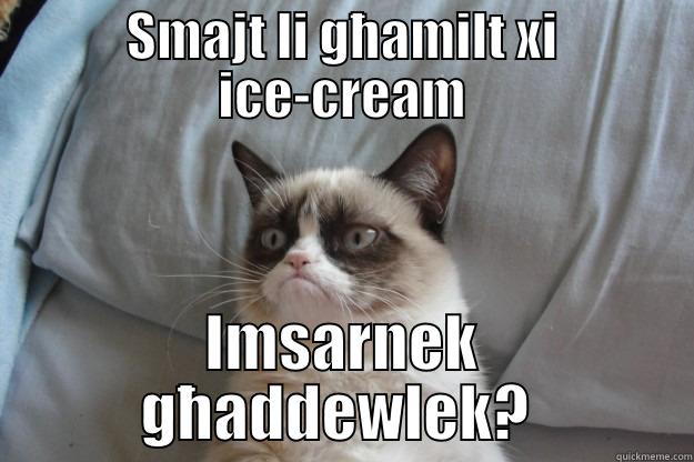 ice-cream grumps :) - SMAJT LI GĦAMILT XI ICE-CREAM IMSARNEK GĦADDEWLEK?  Grumpy Cat