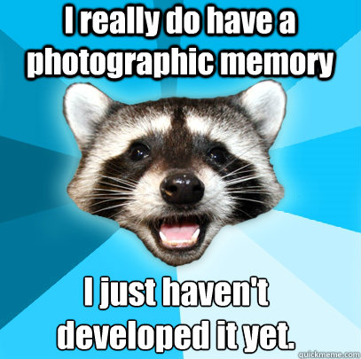 I really do have a photographic memory  I just haven't developed it yet. - I really do have a photographic memory  I just haven't developed it yet.  Lame Pun Coon