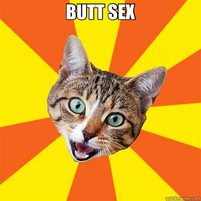 BUTT SEX   Bad Advice Cat