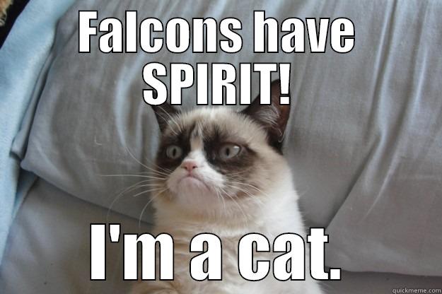 Falcon spirit - FALCONS HAVE SPIRIT! I'M A CAT. Grumpy Cat