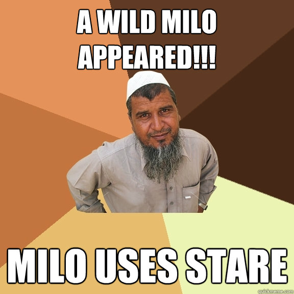 A WILD MILO APPEARED!!! MILO USES STARE  Ordinary Muslim Man