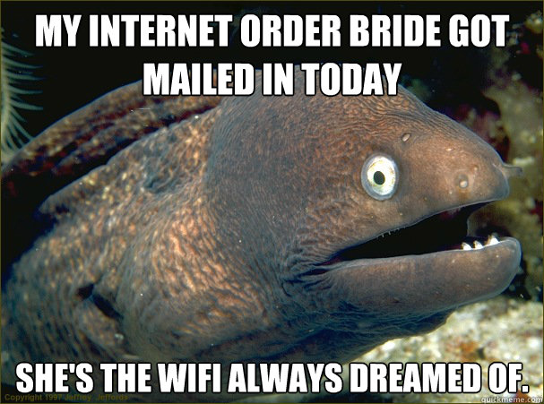 My internet order bride got mailed in today she's the wifi always dreamed of.  Bad Joke Eel