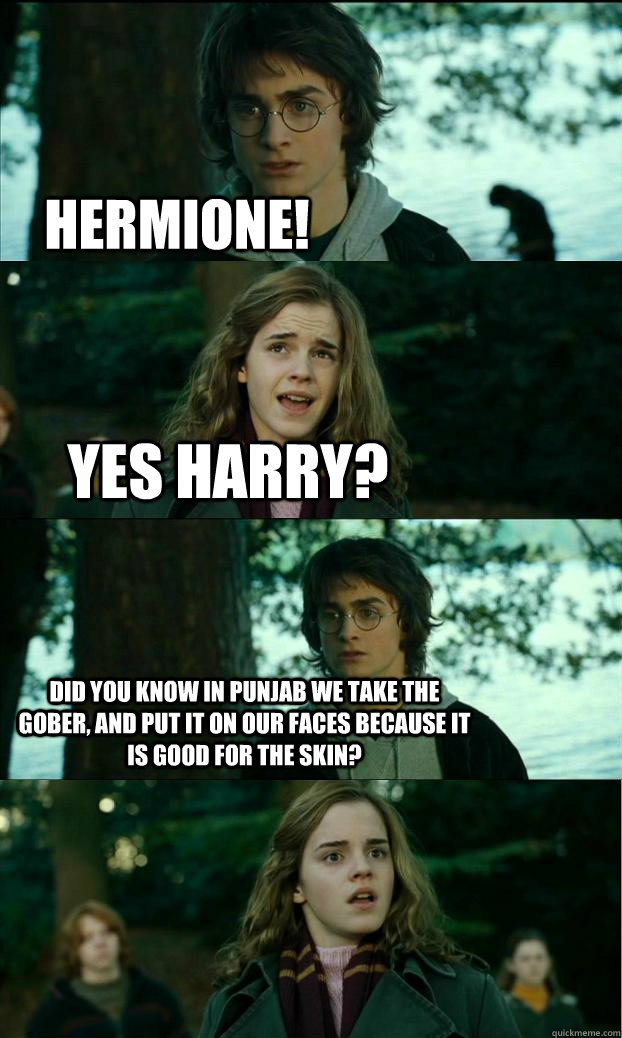 Hermione! Yes harry? did you know in punjab we take the gober, and put it on our faces because it is good for the skin?  Horny Harry