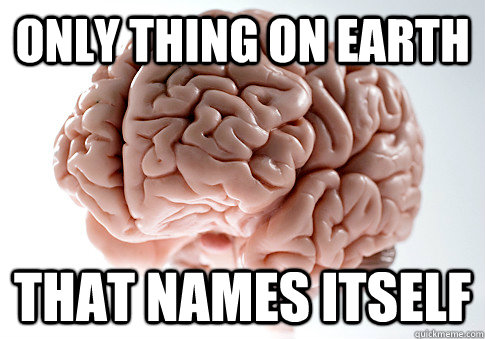 ONLY THING ON EARTH THAT NAMES ITSELF   Scumbag Brain