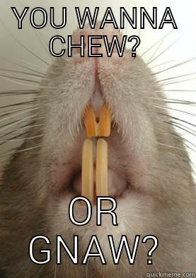 YOU WANNA CHEW? OR GNAW? Misc