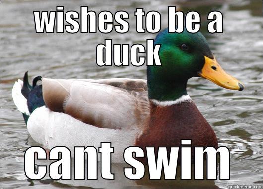 wishes to be a duck - WISHES TO BE A DUCK CANT SWIM Actual Advice Mallard