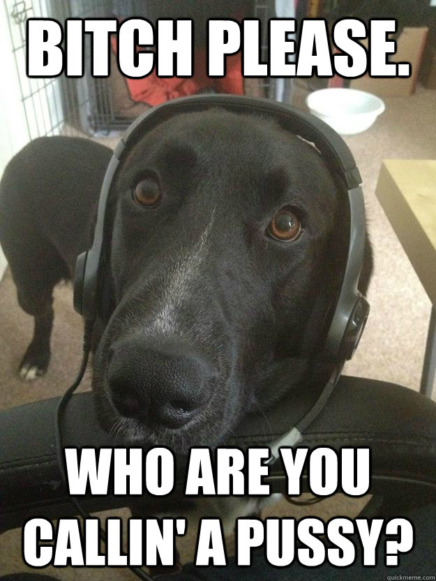 Bitch Please. Who are you callin' a pussy?  Gamer Dog