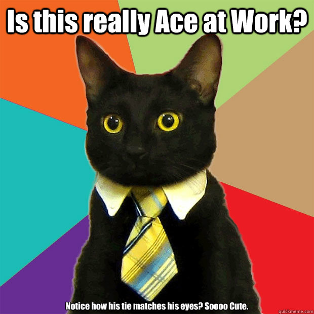 Is this really Ace at Work? Notice how his tie matches his eyes? Soooo Cute.   Business Cat