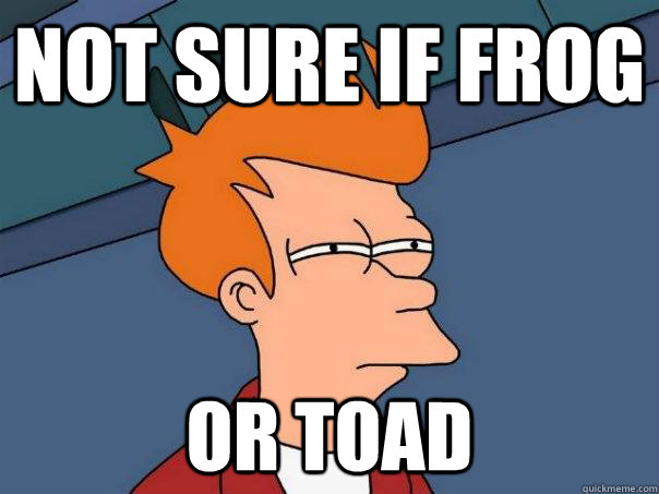 not sure if frog or toad - not sure if frog or toad  Futurama Fry