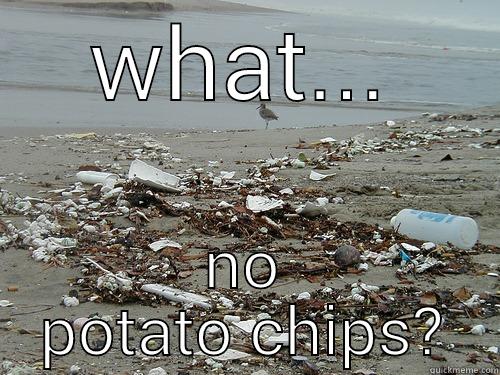 WHAT... NO POTATO CHIPS? Misc