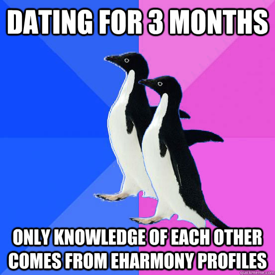 dating for 3 months only knowledge of each other comes from eharmony profiles  Socially Awkward Couple