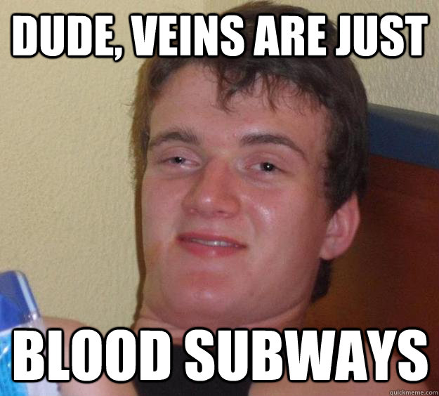 Dude, veins are just Blood Subways   10 Guy