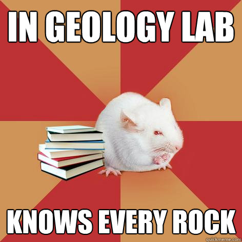 in geology lab knows every rock - in geology lab knows every rock  Science Major Mouse