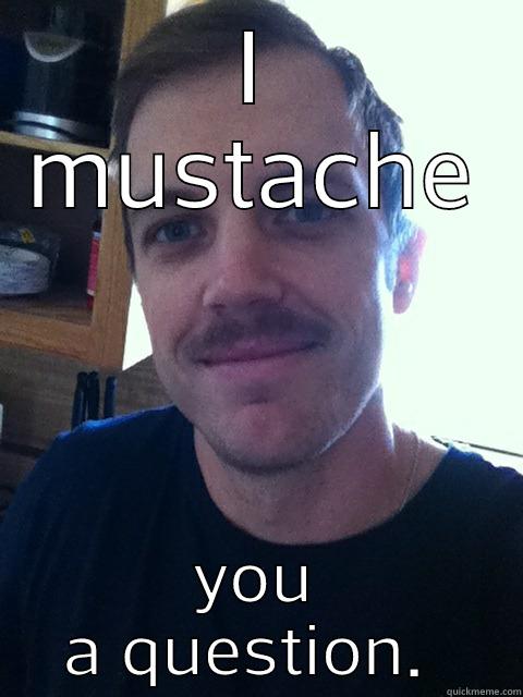 da stache - I MUSTACHE YOU A QUESTION.  Misc