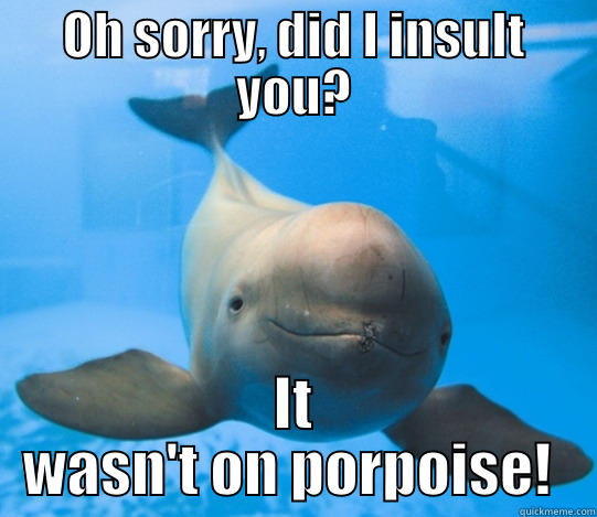 OH SORRY, DID I INSULT YOU? IT WASN'T ON PORPOISE!  Misc