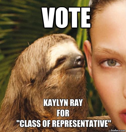 VOTE  Kaylyn Ray 
For
 