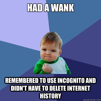 Had a wank Remembered to use Incognito and didn't have to delete internet history  Success Kid