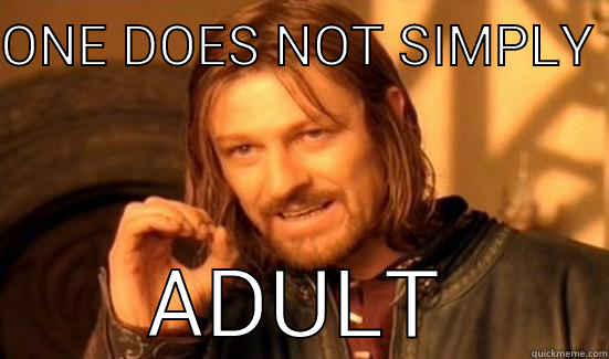 ONE DOES NOT SIMPLY  ADULT Boromir