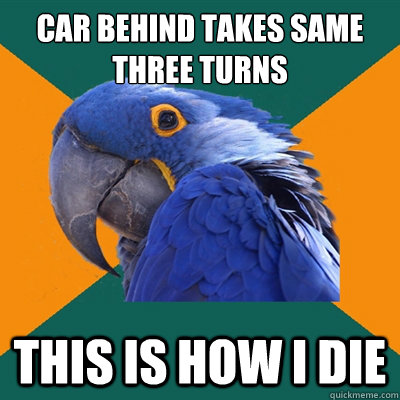 car behind takes same three turns this is how i die  Paranoid Parrot