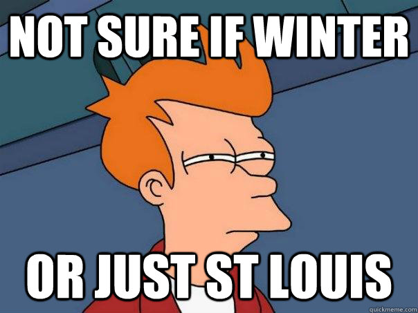 not sure if winter or just St louis  Futurama Fry