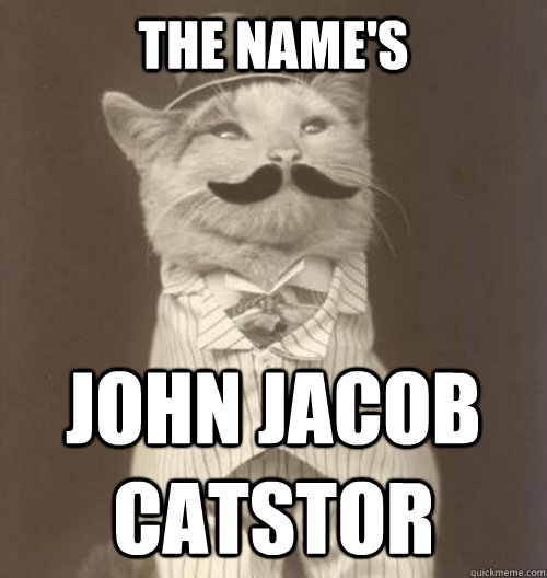 The name's john jacob catstor  Original Business Cat