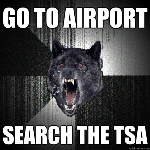 Go to airport search the tsa - Go to airport search the tsa  Insanity Wolf