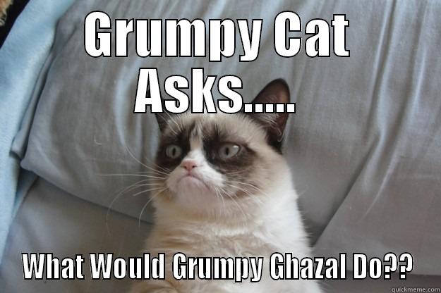 Grumpy Ghazal - GRUMPY CAT ASKS..... WHAT WOULD GRUMPY GHAZAL DO?? Grumpy Cat