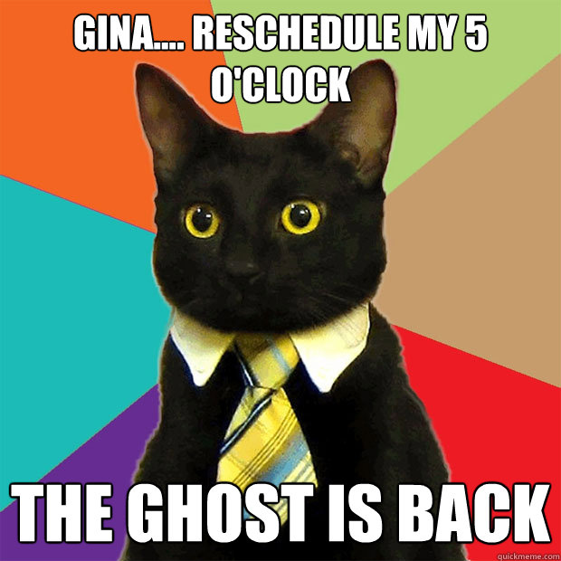 Gina.... reschedule my 5 o'clock the ghost is back  Business Cat