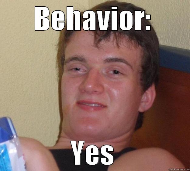 BEHAVIOR: YES 10 Guy