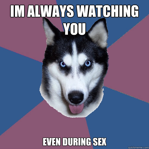 Im always watching you 

even during sex  Creeper Canine