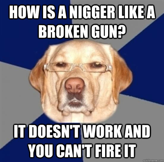 How is a nigger like a broken gun? it doesn't work and you can't fire it  