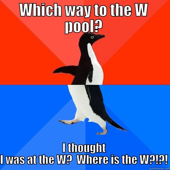 WHICH WAY TO THE W POOL? I THOUGHT I WAS AT THE W?  WHERE IS THE W?!?! Socially Awesome Awkward Penguin