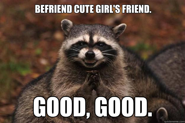 Befriend cute girl's friend.  Good, good.   Evil Plotting Raccoon