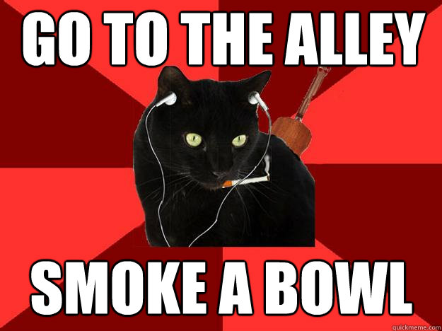 go to the alley smoke a bowl  Berklee Cat