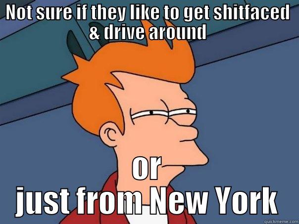 NOT SURE IF THEY LIKE TO GET SHITFACED & DRIVE AROUND OR JUST FROM NEW YORK Futurama Fry