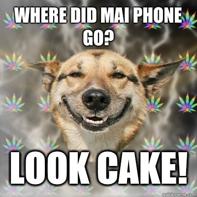 Where did Mai phone go? Look cake!  Stoner Dog