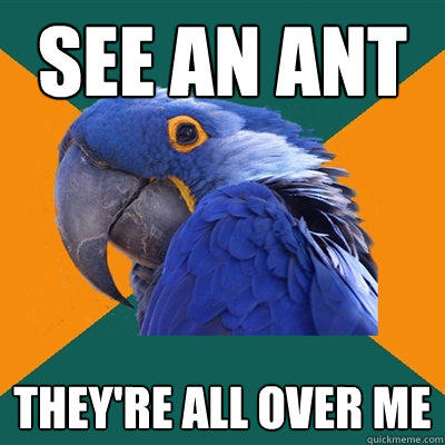 See an ant They're all over me - See an ant They're all over me  Paranoid Parrot