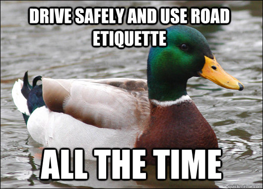 drive safely and use road etiquette all the time  Actual Advice Mallard